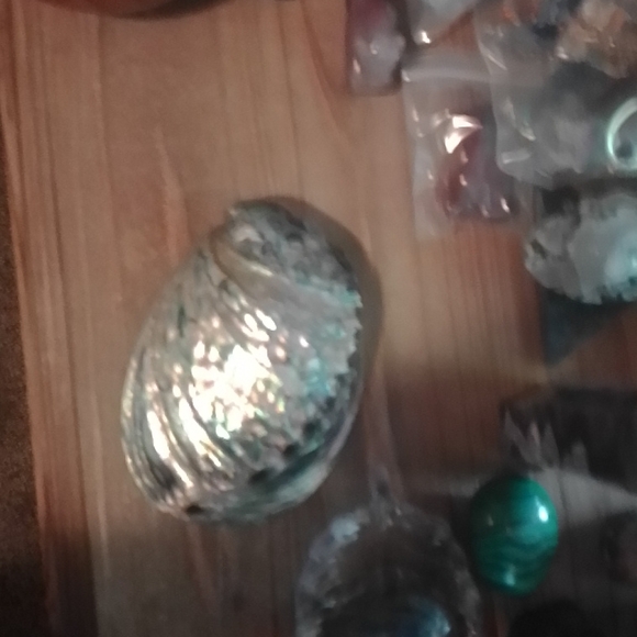 Opalized Abalone shell - Picture 3 of 5